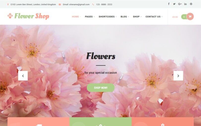 best ecommerce wordpress themes 2018 free 2