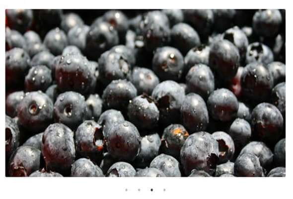 blueberry Responsive jQuery