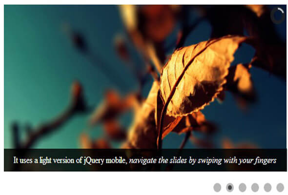 camera Responsive jQuery