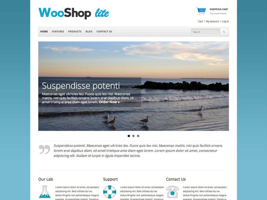 cheap ecommerce wordpress themes 2