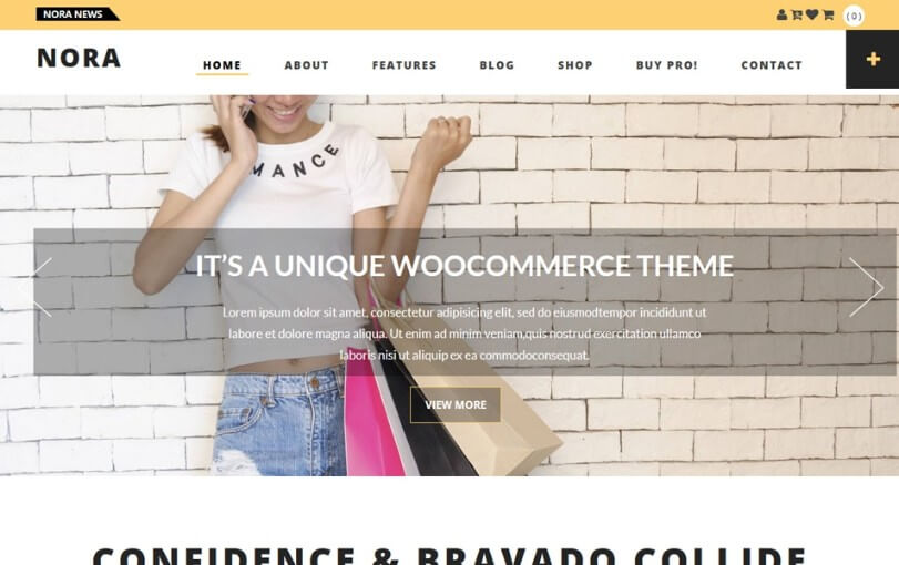 cheap ecommerce wordpress themes 4