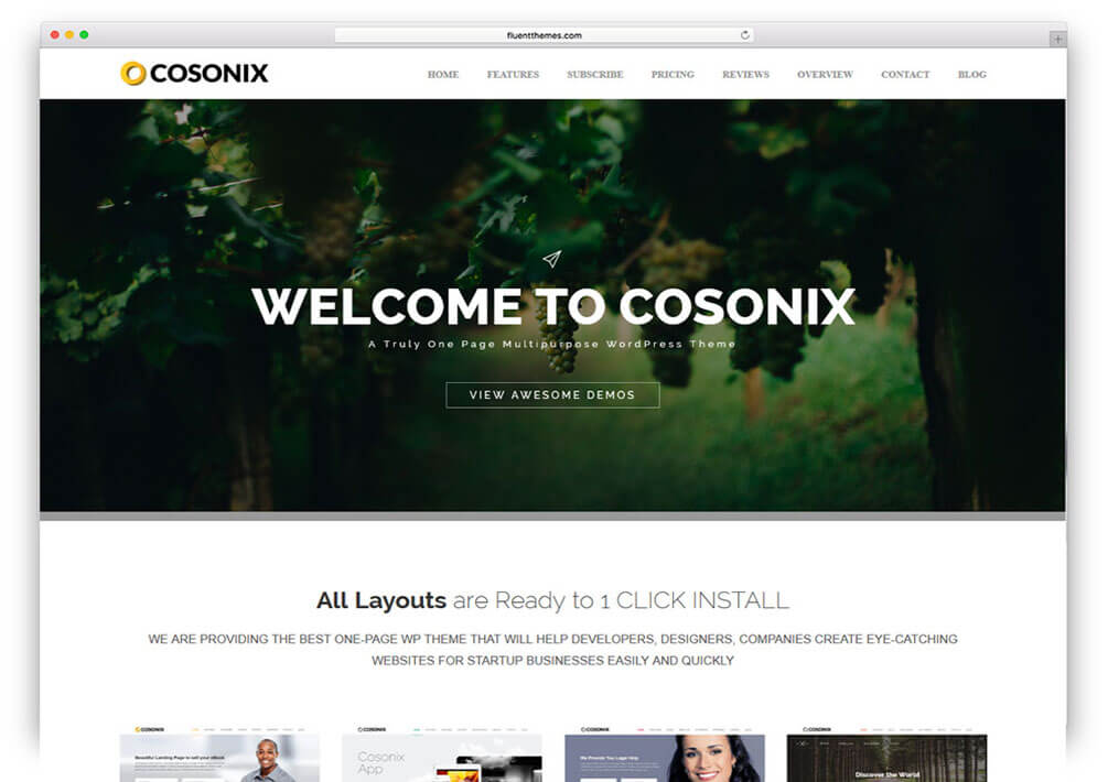 cosonix Responsive One