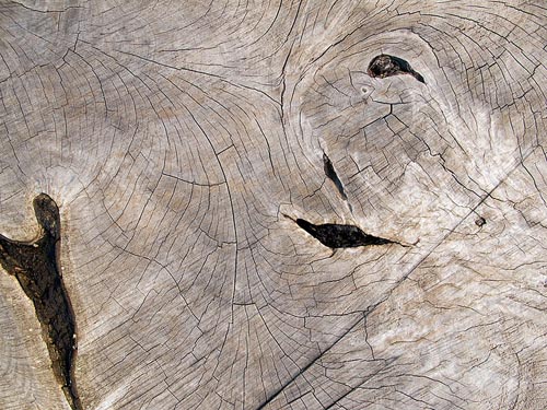 distressed wood texture 3