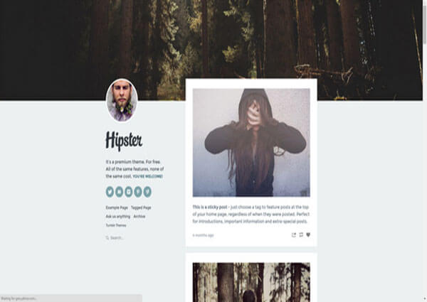 Hipster Tumblr Theme