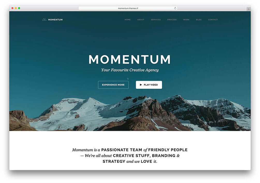 momentum WordPress Theme