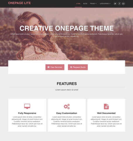 onepage lite WordPress Theme