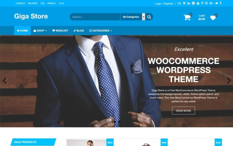 premium wordpress ecommerce themes