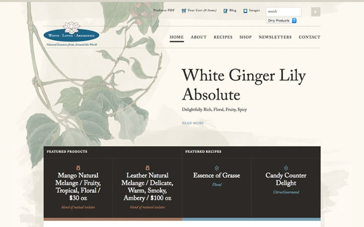 responsive website examples 4