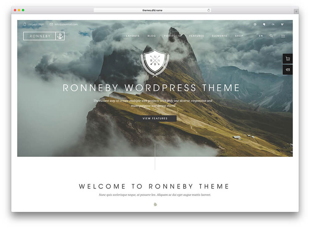 Ronneby Insurance WordPress