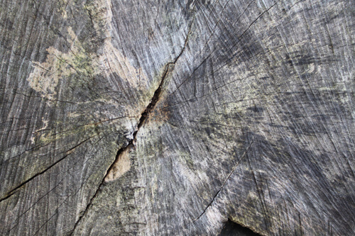 rough wood texture 3 1
