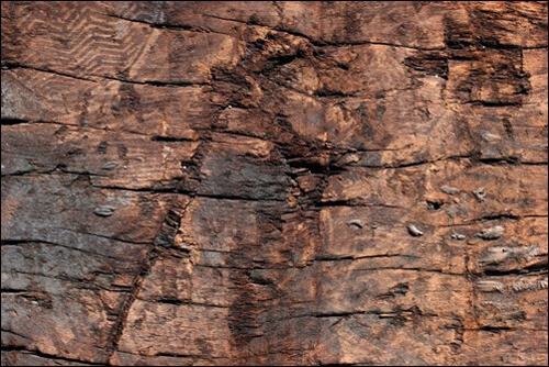 rough wood texture 4 1