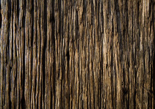 rough wood texture 5 1
