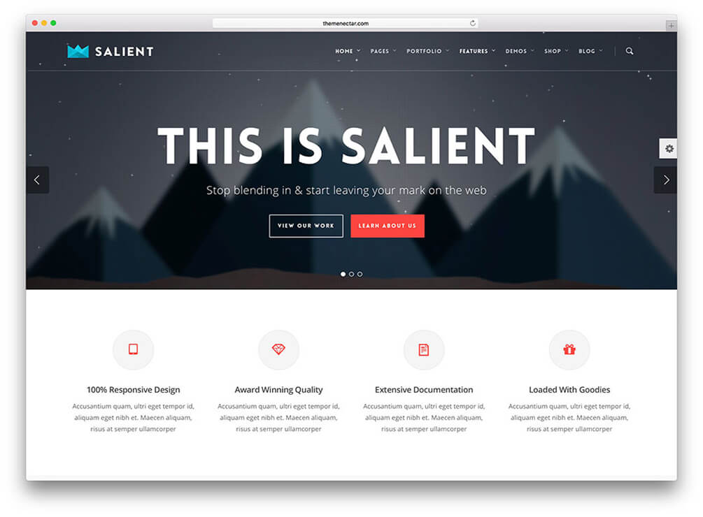 salient WordPress Theme