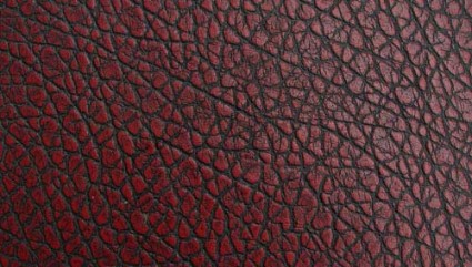 smooth leather texture 1