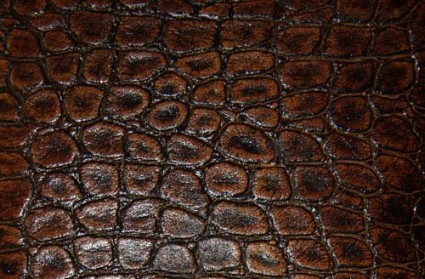 smooth leather texture 2
