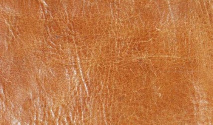 smooth leather texture 4
