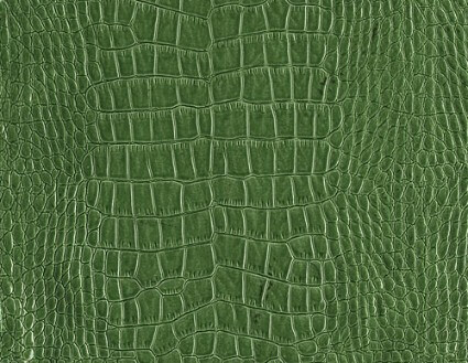 smooth leather texture 6