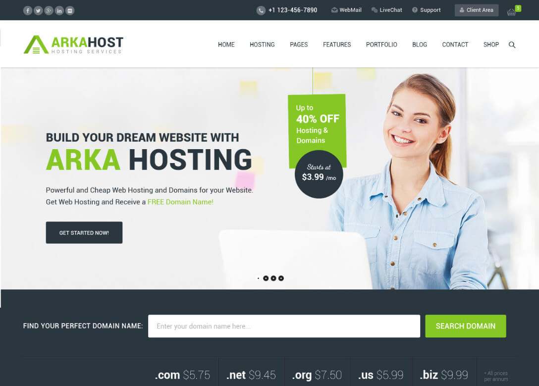 wordpress themes free download professional 3