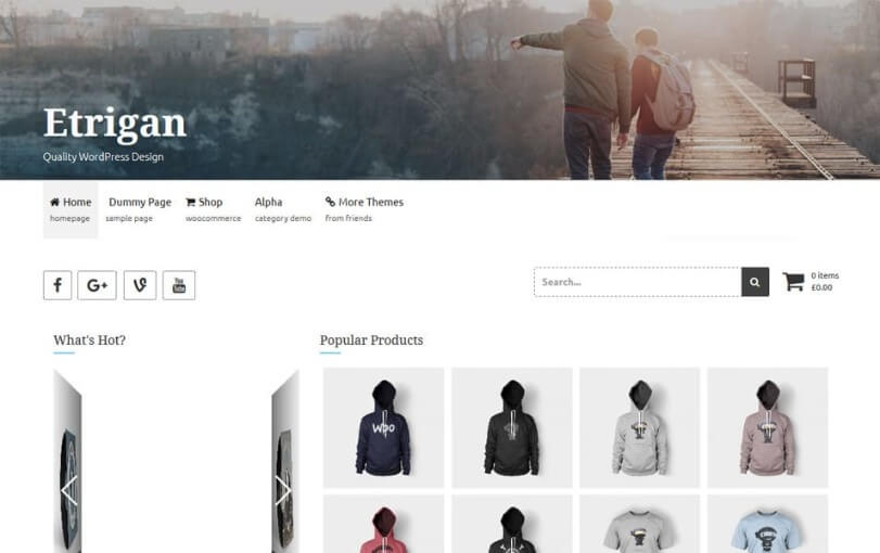 wordpress woocommerce theme free download