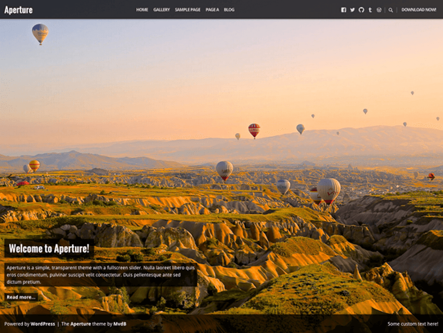 aperture Best Free Photography WordPress Themes 2