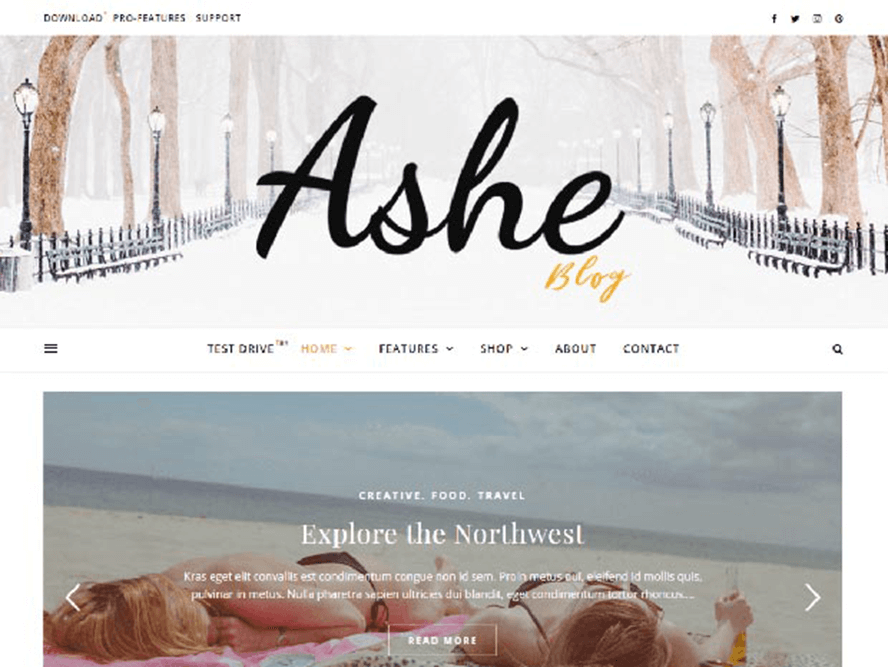 ashe ptheme Best Free Photography WordPress Themes 2