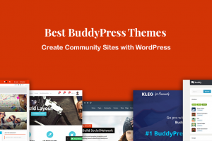 Buddy Press Themes