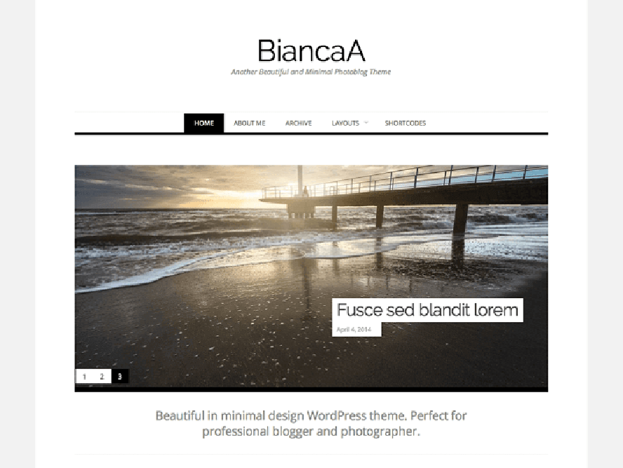 binacaa Best Free Photography WordPress Themes 2