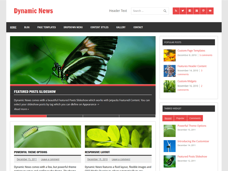 Dynamic News Lite Best Free Responsive Magazine