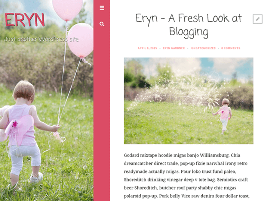 eryn Best Free Photography WordPress Themes 2
