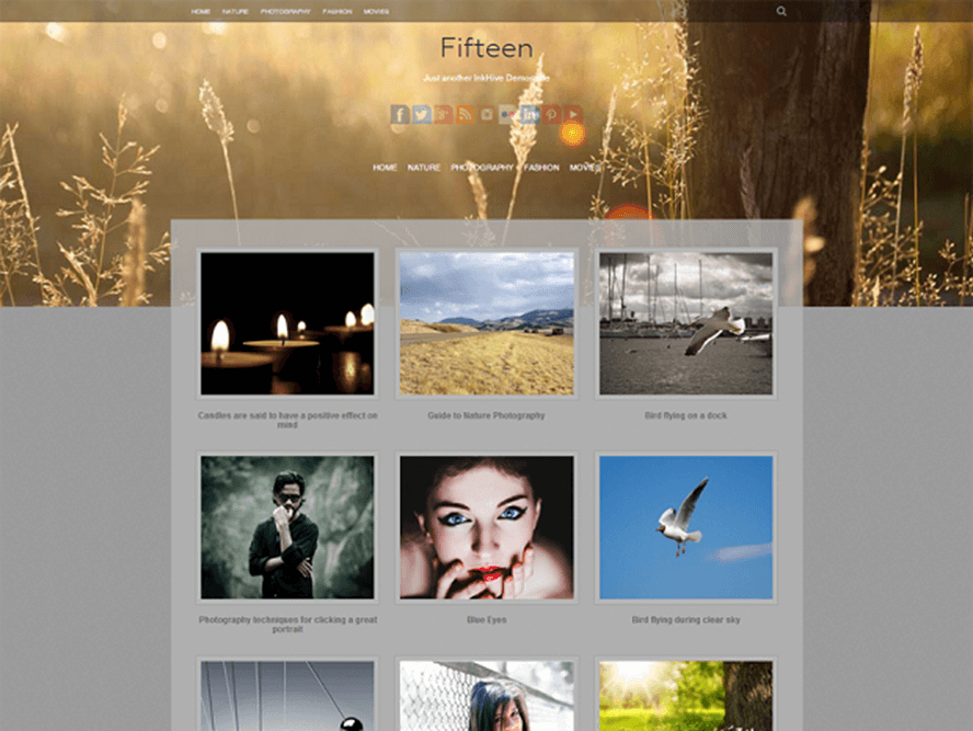 fifteen Best Free Photography WordPress Themes 2