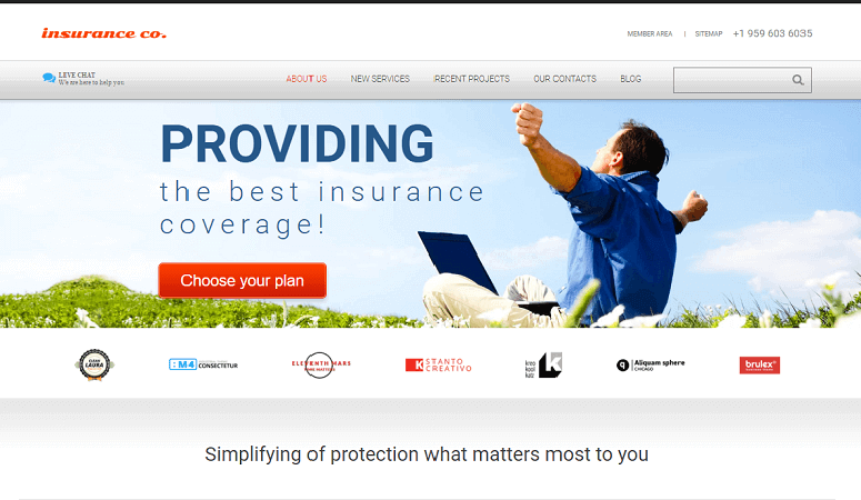 Provide Responsive Insurance WordPress