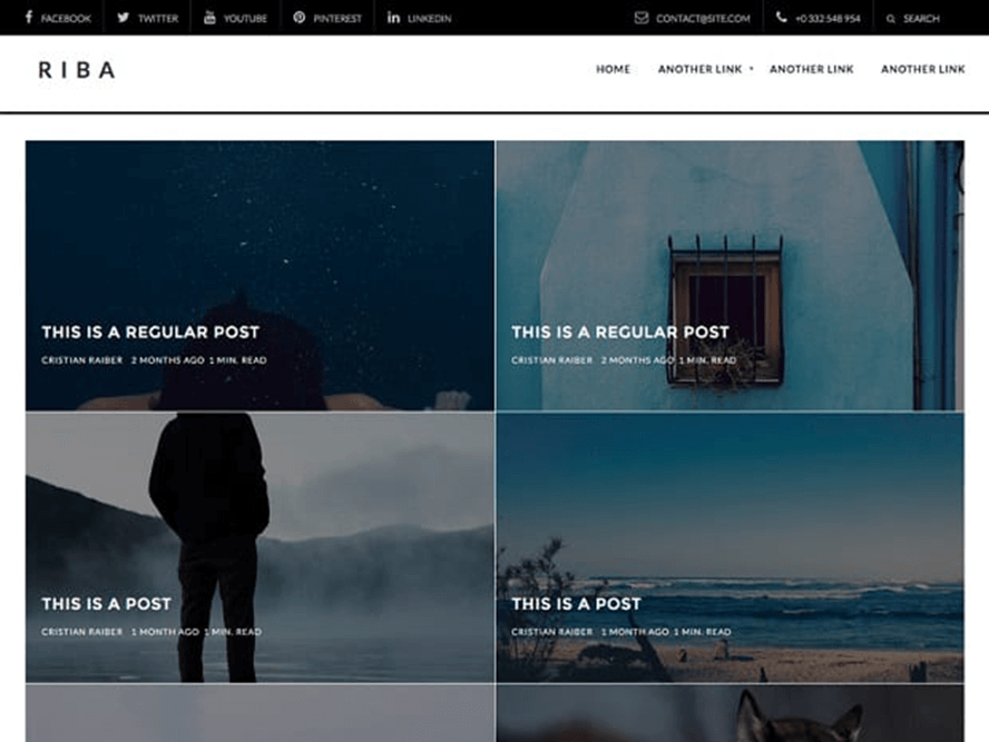 ribalite Free Photography WordPress Themes 2018