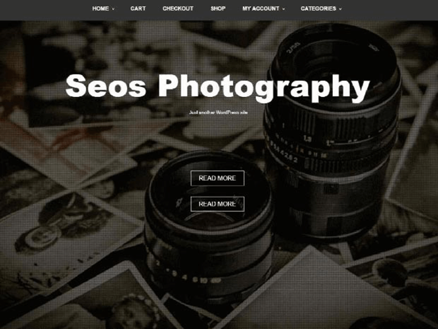 seos photography ptheme Free Photography WordPress Themes 2018