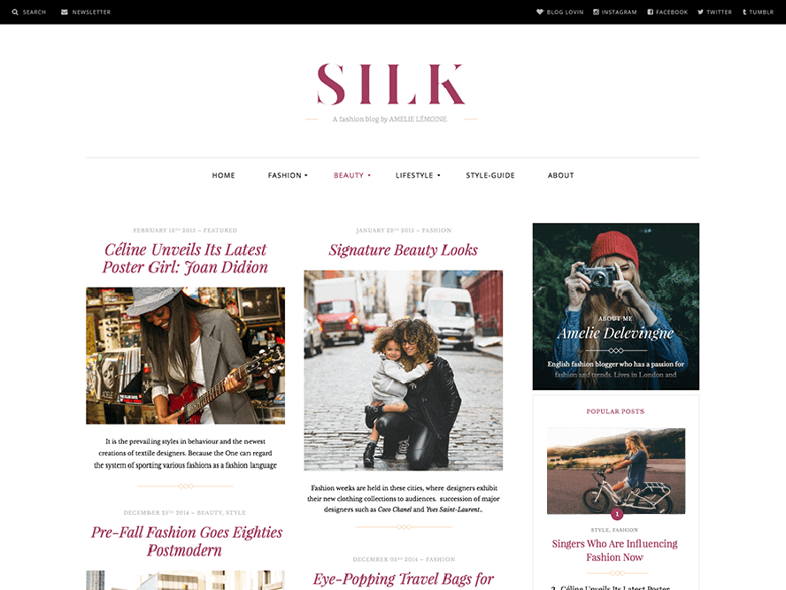 Silk Lite Magazine WordPress Themes 2018