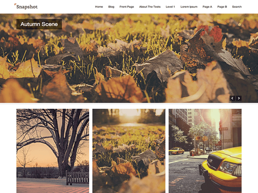 snapshot Free Photography WordPress Themes 2018