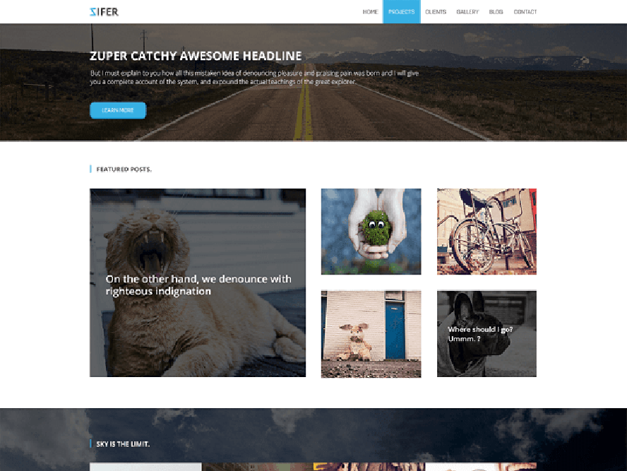 ziferchild Free Photography WordPress Themes 2018